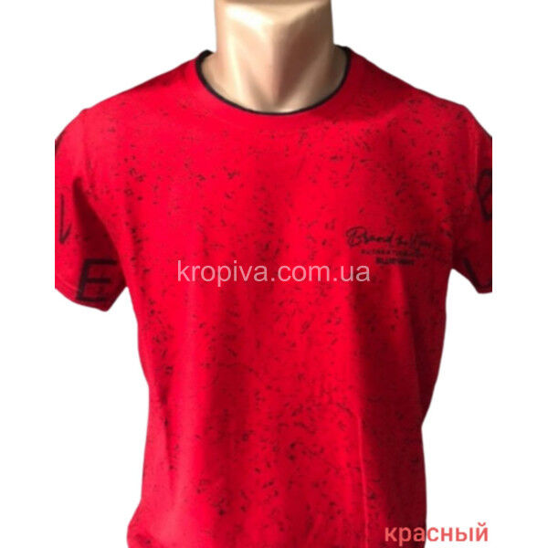 Футболка чоловіча оптом 200225-061