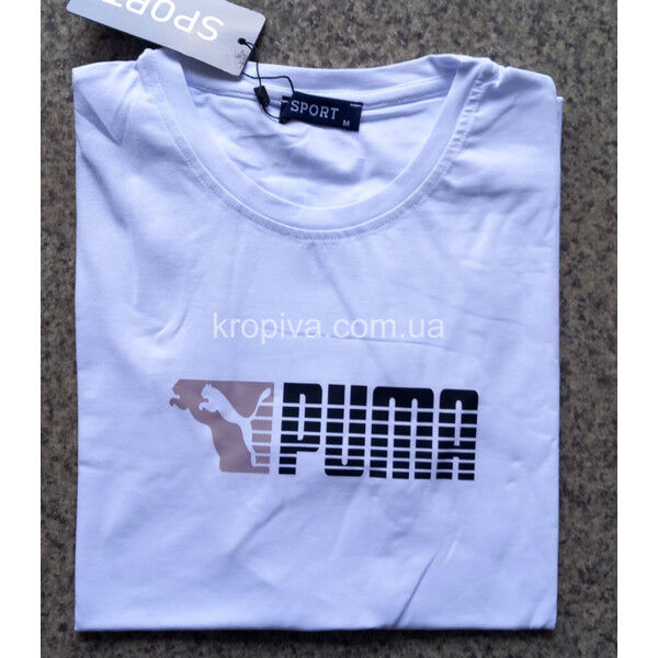 Мужская футболка норма Турция оптом 190325-735