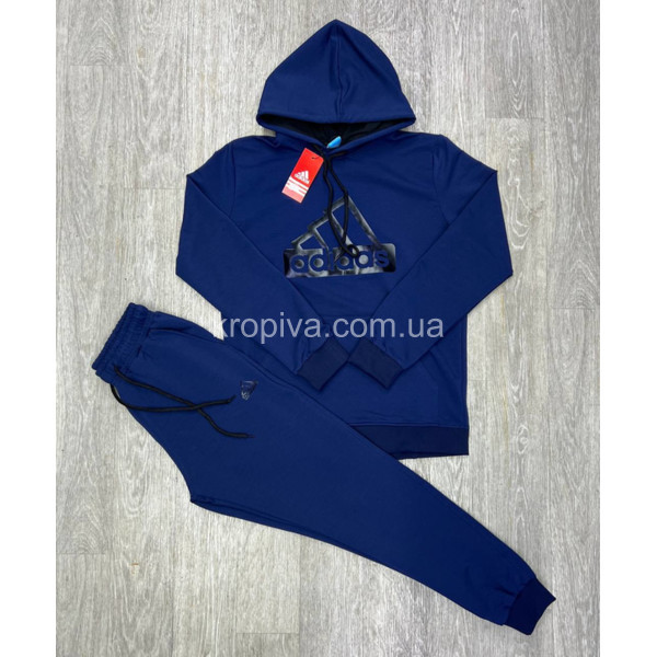 Мужской спортивный костюм 259 оптом 090425-655