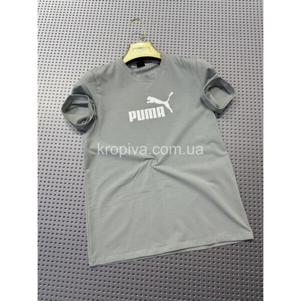 Мужская футболка норма Турция оптом 230625-766