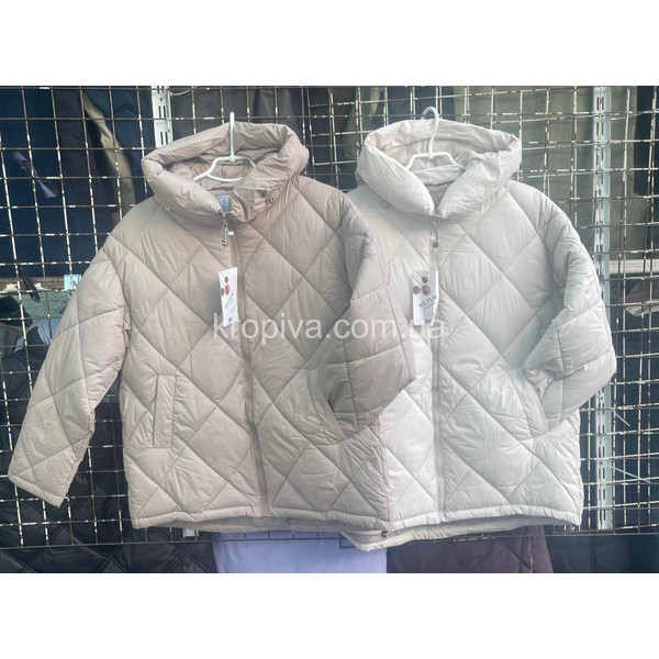 Женская ветровка батал оптом 170925-686