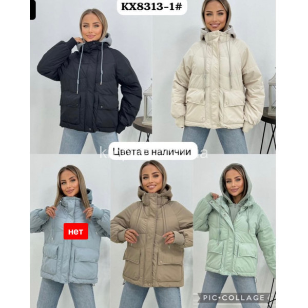 Женская куртка зима норма оптом 301025-018