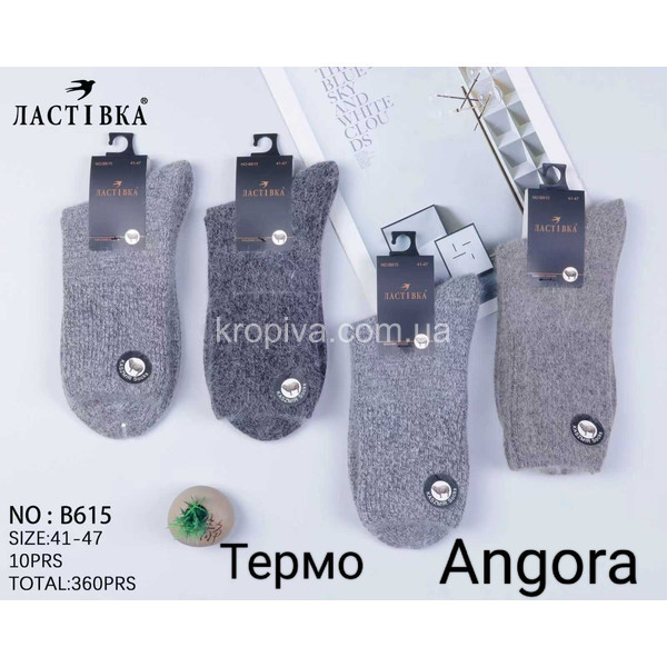 Чоловічі шкарпетки термо оптом 031225-621