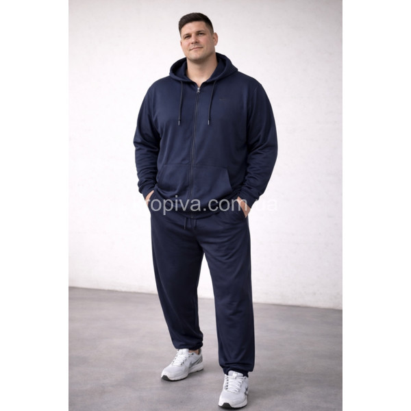 Чоловічий костюм батал весна оптом 290126-612