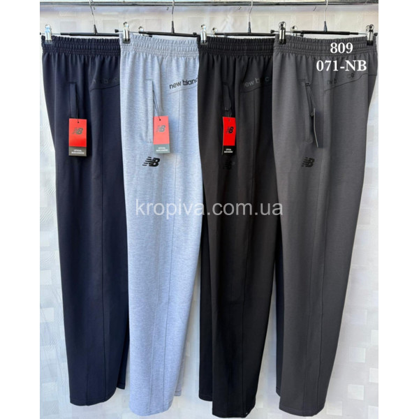 Мужские спортивные штаны норма оптом 310126-671