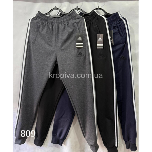 Чоловічі спортивні штани норма оптом 090226-609