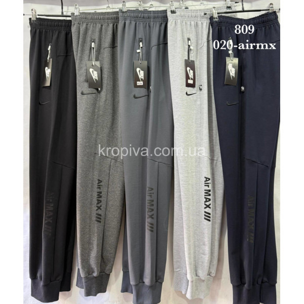 Чоловічі спортивні штани норма оптом 090226-619
