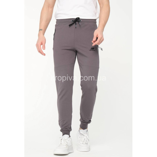 Мужские спортивные штаны норма Турция оптом  (170124-714)