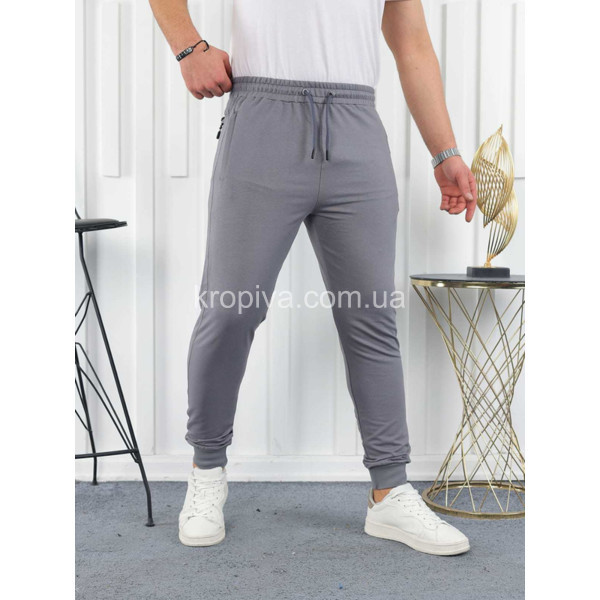 Чоловічі спортивні штани норма Туреччина оптом  (170124-784)