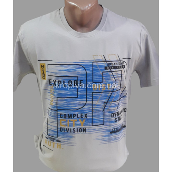 Мужская футболка норма оптом  (020224-059)