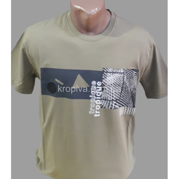 Мужская футболка норма оптом  (020224-069)
