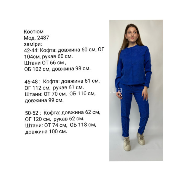 Женский костюм 2847 норма оптом  (010224-549)