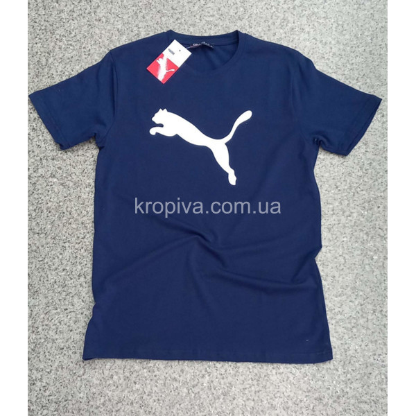 Чоловічі футболки норма Туреччина оптом 020324-760