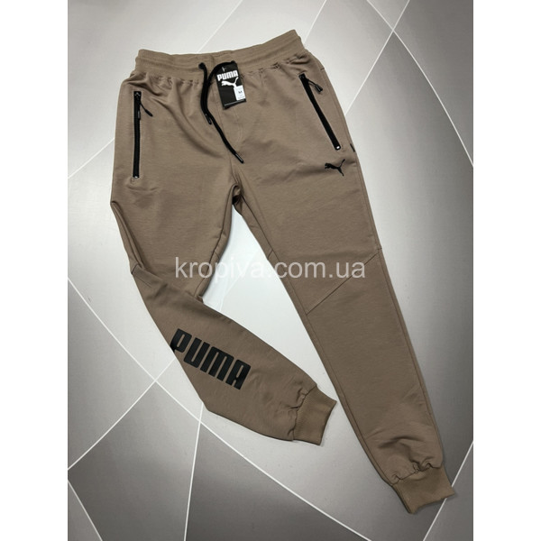 Мужские спортивные штаны норма оптом  (200324-640)