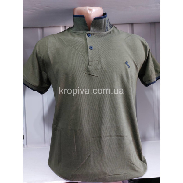 Чоловічі футболки-поло норми Туреччина ELVIS оптом 010424-796