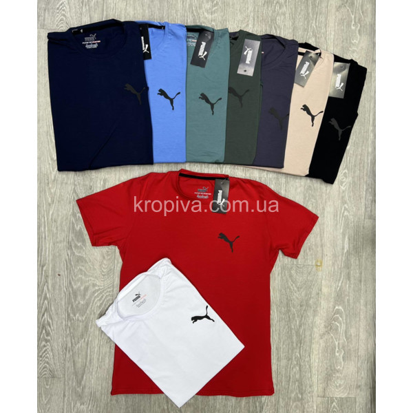 Чоловічі футболки 231 норма Туреччина оптом 160424-752