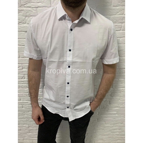 Мужская рубашка норма оптом  (210424-739)