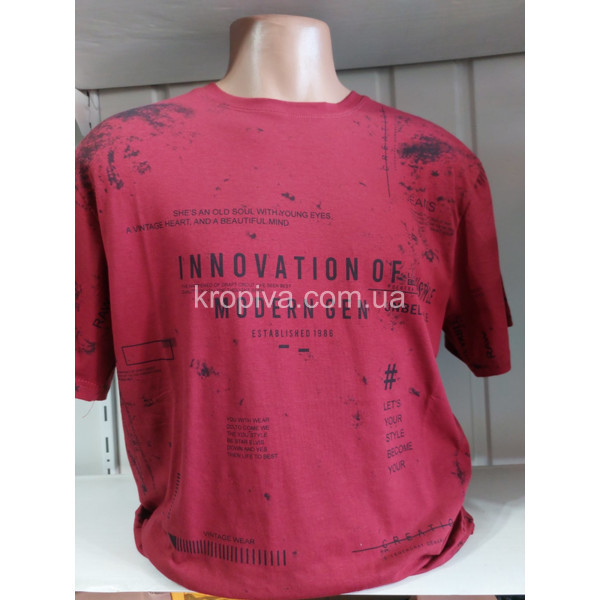 Чоловічі футболки Батал Туреччина VIPSTAR оптом 280424-656