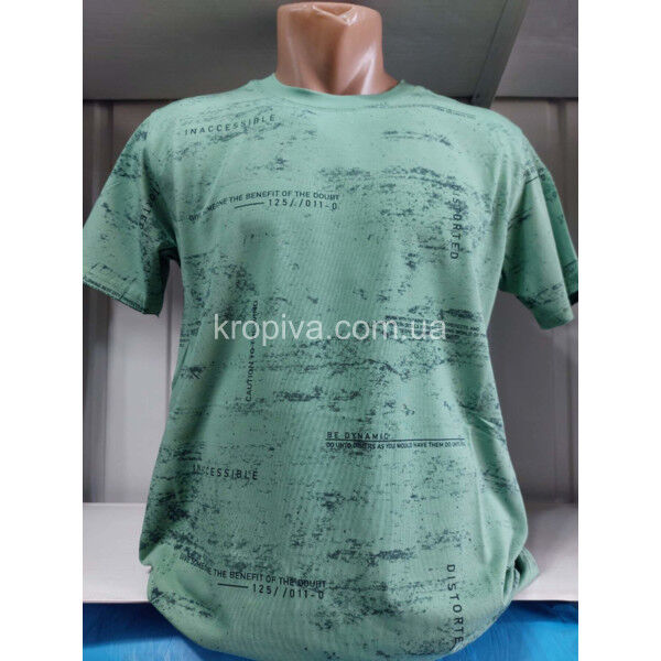 Мужская футболка норма Турция VIPSTAR оптом 070325-798