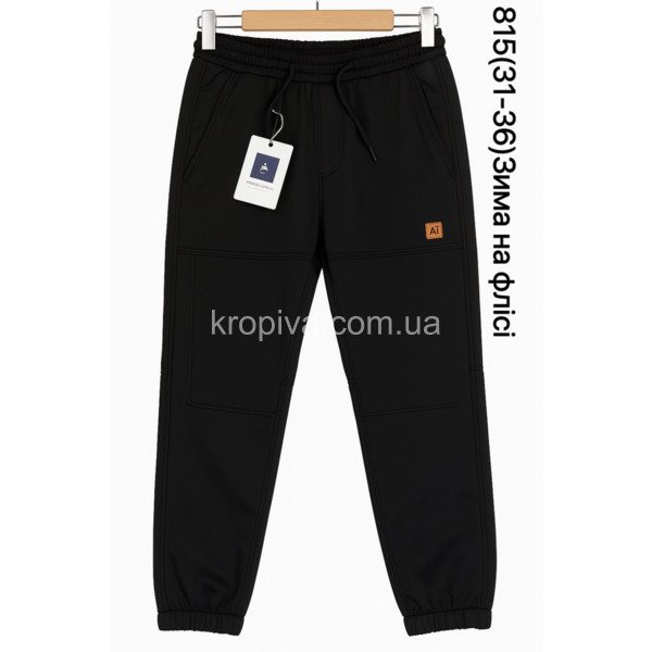 Мужские спортивные штаны на флисе норма оптом 220925-691