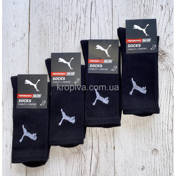 Жіночі шкарпетки демісезон оптом 211125-731