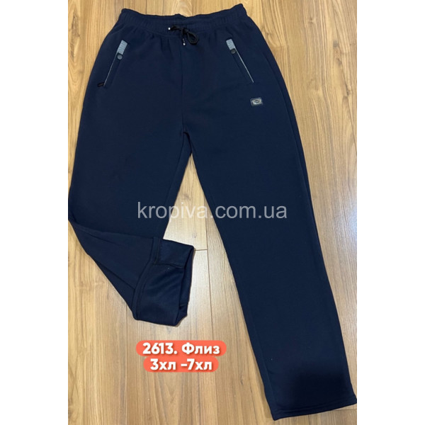 Чоловічі спортивні штани батал оптом 221125-728