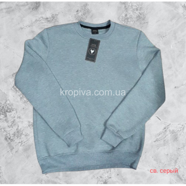 Чоловічий світшот норма оптом 071225-067