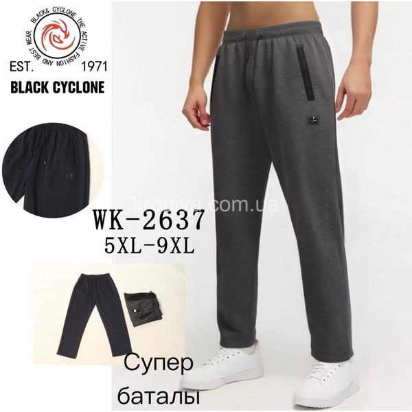 Мужские тонкие штаны  оптом 040226-39