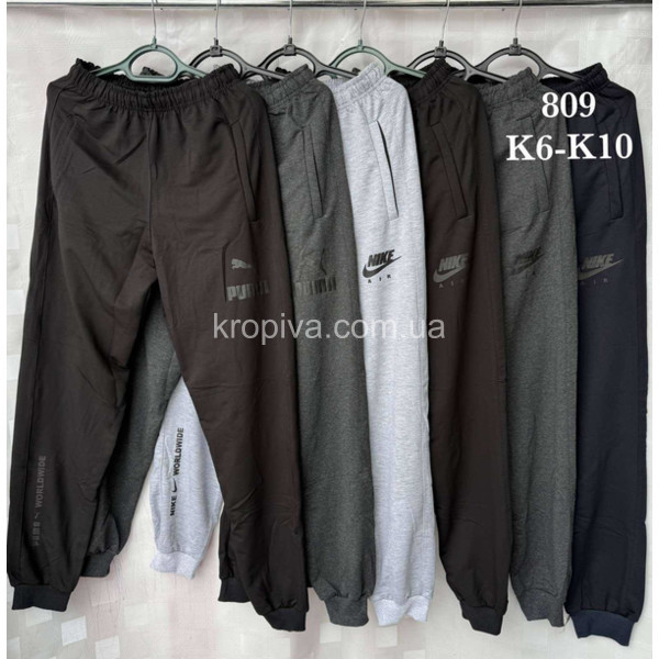 Чоловічі спортивні штани норма оптом 090226-600