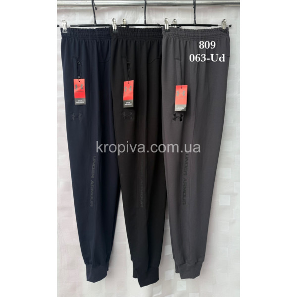 Чоловічі спортивні штани норма оптом 090226-620