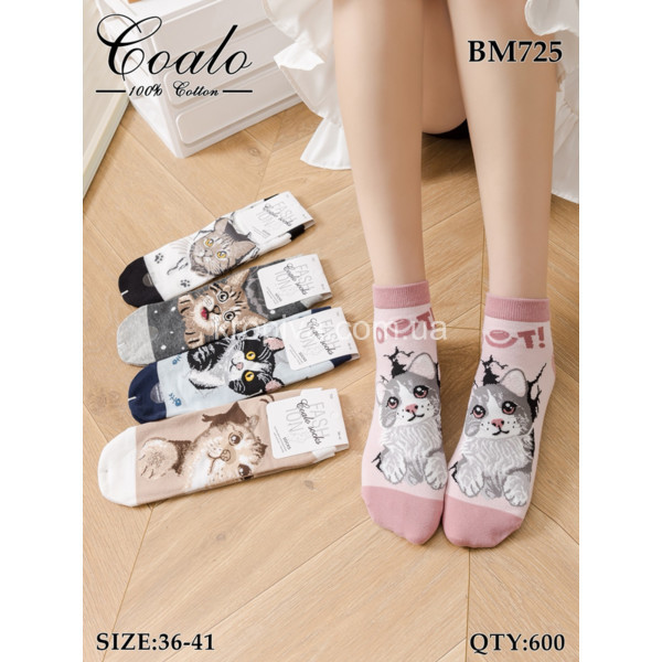 Жіночі шкарпетки оптом 010326-750