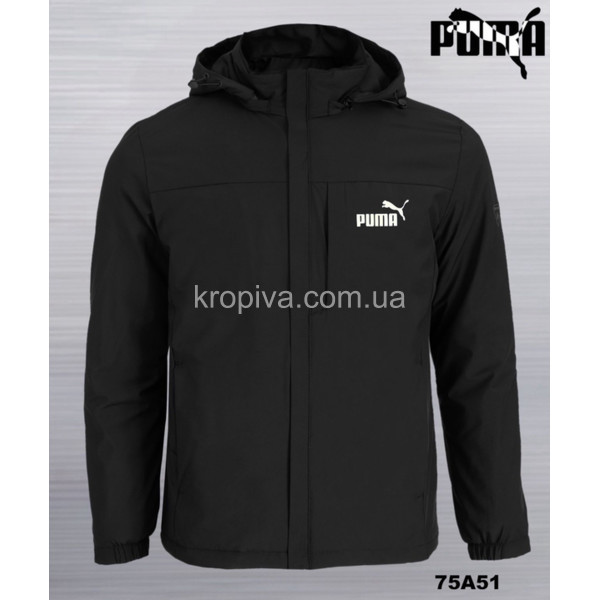 Мужская куртка деми норма оптом 260326-040