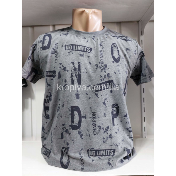 Чоловічі футболки норма Туреччина VIPSTAR оптом 250523-681