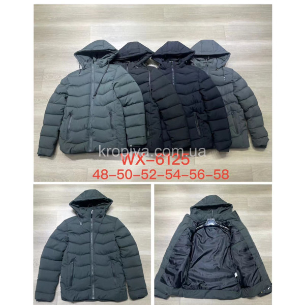 Чоловіча куртка норма зима оптом 241023-601