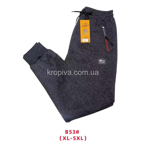 Мужские спортивные штаны зима норма оптом  (031123-263)
