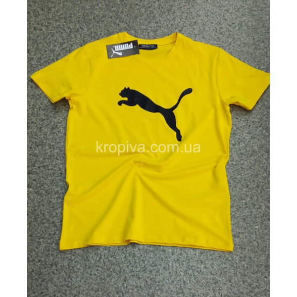 Чоловічі футболки норма Туреччина оптом 020324-761