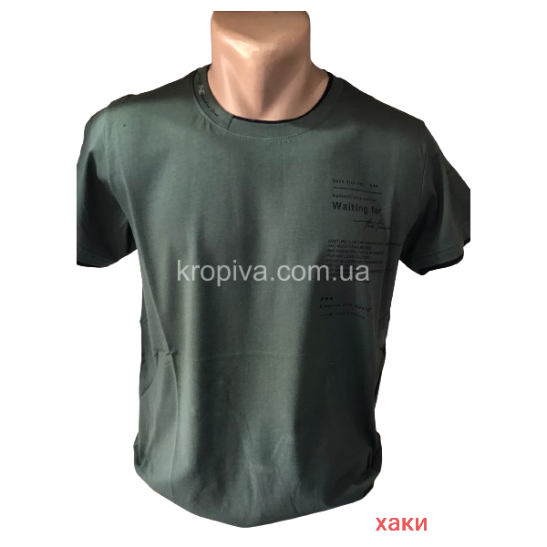 Мужская футболка норма оптом  (050324-024)