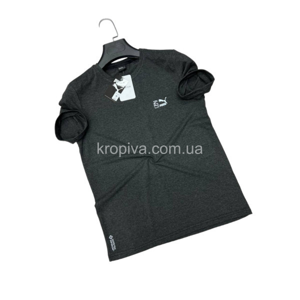 Чоловічі футболки Туреччина норма оптом 030524-202