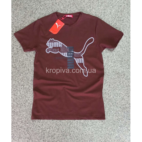 Чоловічі футболки норма Туреччина оптом 120524-691