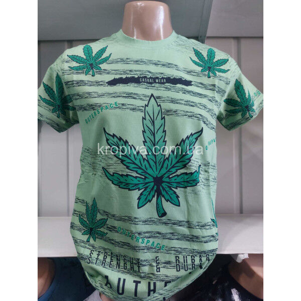 Мужская футболка норма Турция VIPSTAR оптом 060225-706