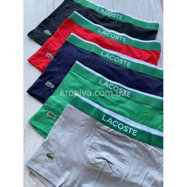 Мужские боксеры норма Египет оптом 150225-637