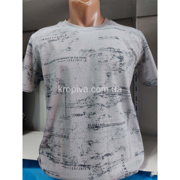 Мужская футболка норма Турция VIPSTAR оптом 070325-799