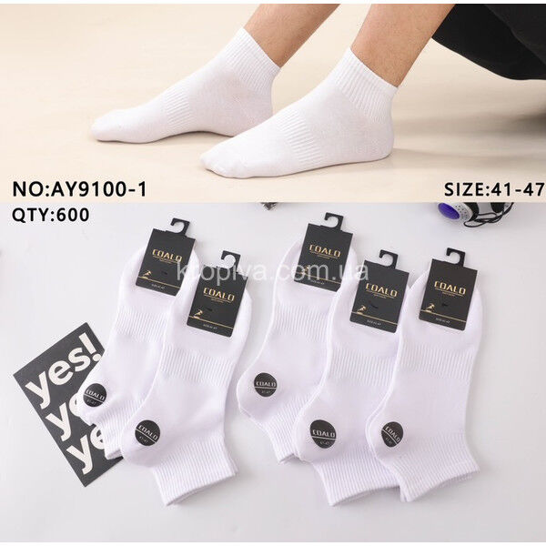 Чоловічі шкарпетки весна оптом 190325-688