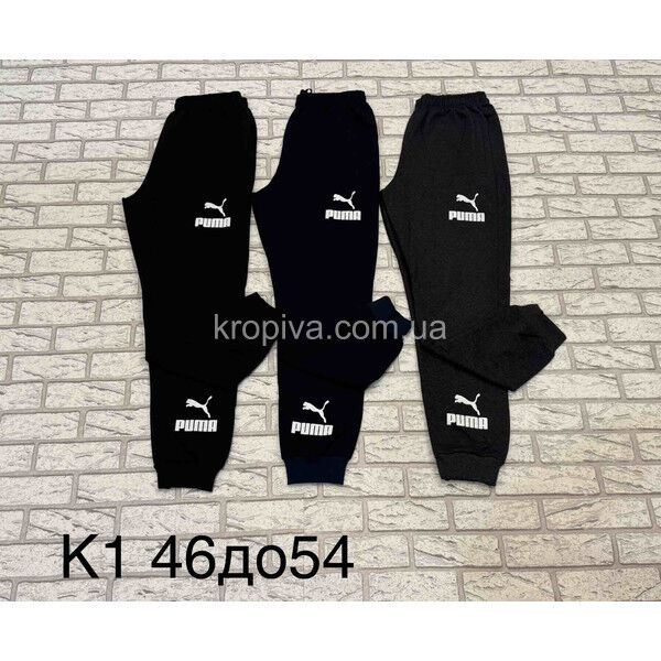 Мужские спортивные штаны норма оптом 180625-616