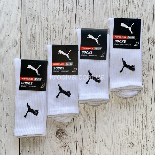 Жіночі шкарпетки демісезон оптом 211125-732