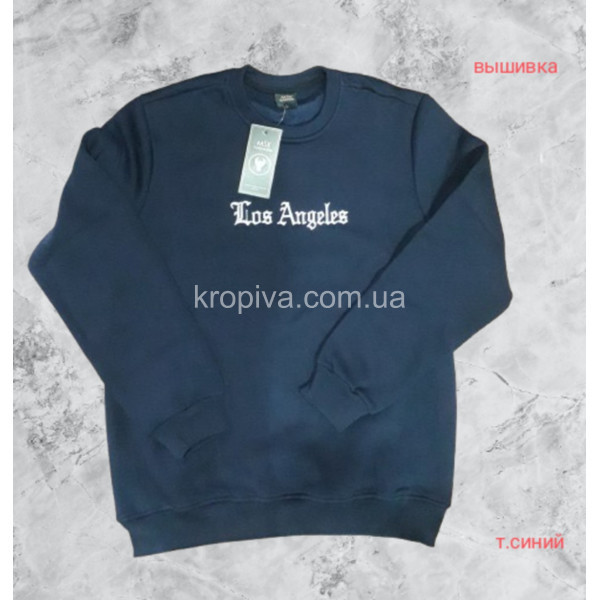 Чоловічий світшот норма оптом 071225-078