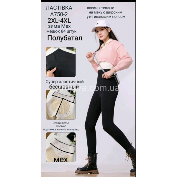 Жіночі лосини оптом 231225-14