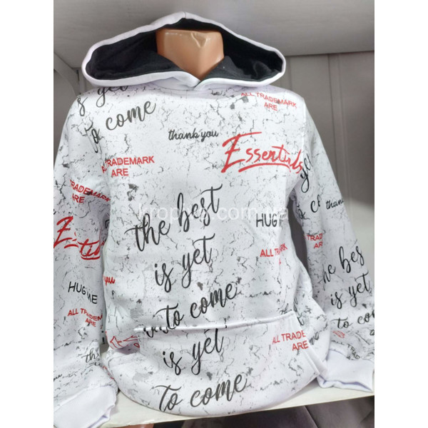 Чоловічий батник фліс норма Туреччина VIPSTAR оптом 120126-692