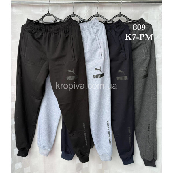 Чоловічі спортивні штани норма оптом 090226-601