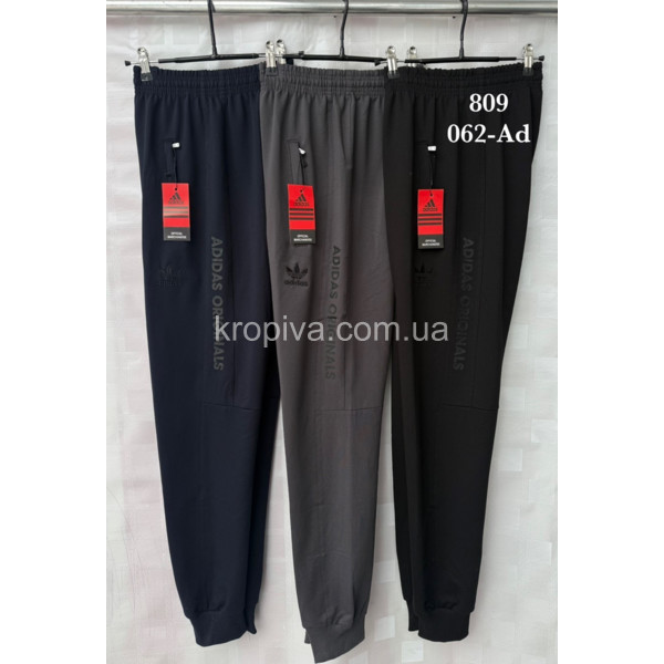 Чоловічі спортивні штани норма оптом 090226-621